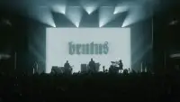 Backdrop to the movie "Brutus: Live In Brussels" #1148102