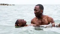 Backdrop to the movie "Moonlight" #751619