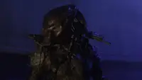 Backdrop to the movie "Predator 2" #640353