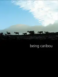 Poster to the movie "Being Caribou" #1091999