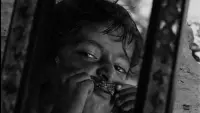 Backdrop to the movie "Pather Panchali" #827475