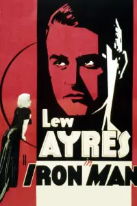 Poster to the movie "Iron Man" #740125