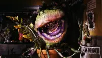 Backdrop to the movie "Little Shop of Horrors" #663115
