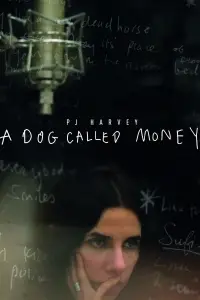 Poster to the movie "A Dog Called Money" #1201866