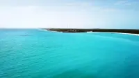 Backdrop to the movie "Fyre" #733342