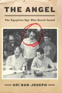 Poster to the movie "The Angel" #1039162