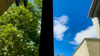 Backdrop to the movie "When Butterflies Scream" #769800