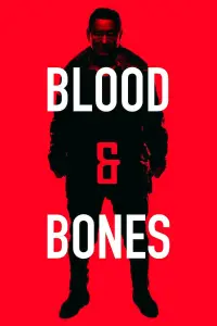 Poster to the movie "Blood and Bones" #1041003