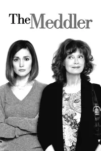 Poster to the movie "The Meddler" #1093353