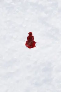 Poster to the movie "The Snowman" #1038089