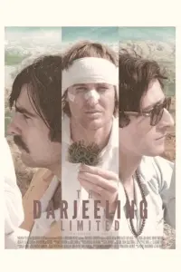 Poster to the movie "The Darjeeling Limited" #779921