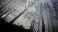 Backdrop to the movie "Shadows of Forgotten Ancestors" #764357