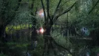 Backdrop to the movie "Annihilation" #711594