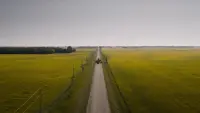 Backdrop to the movie "The Long Walk" #851484