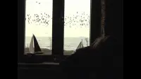 Backdrop to the movie "the salt keeper