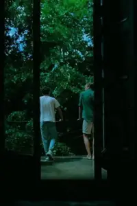 Poster to the movie "Call Me by Your Name" #1125734