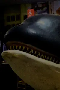 Poster to the movie "El llanto de Yubi" #886325