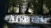 Backdrop to the movie "The Sound of Water Footsteps" #778359