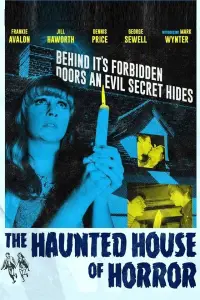 Poster to the movie "The Haunted House of Horror" #1205244