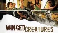 Backdrop to the movie "Winged Creatures" #999227