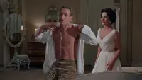 Backdrop to the movie "Cat on a Hot Tin Roof" #839035