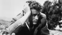 Backdrop to the movie "East of Eden" #722978