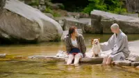 Backdrop to the movie "Mungyeong: More than Roads" #448855