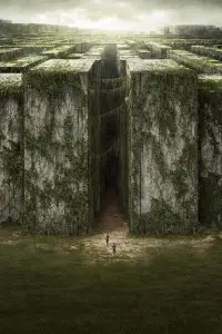 Poster to the movie "The Maze Runner" #867549