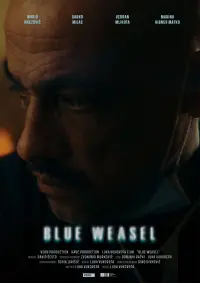 Poster to the movie "Blue Weasel" #778162