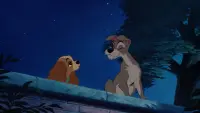Backdrop to the movie "Lady and the Tramp" #854509