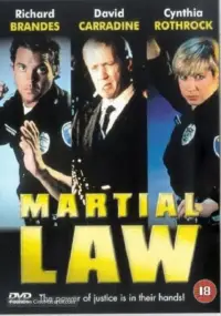 Poster to the movie "Martial Law" #1164287