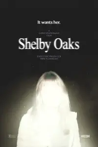 Poster to the movie "Shelby Oaks" #1052256