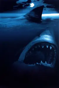 Shark Attack