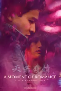 Poster to the movie "A Moment of Romance" #991741
