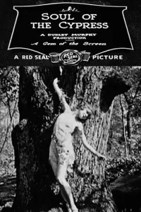 Poster to the movie "Soul of the Cypress" #878229