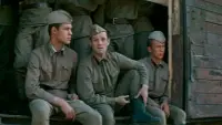 Backdrop to the movie "According to the Laws of War" #849383