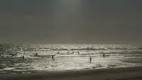 Backdrop to the movie "The Sea Stares at Us from Afar" #696702