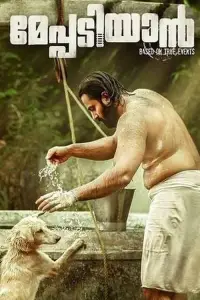 Poster to the movie "Meppadiyan" #877967