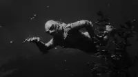 Backdrop to the movie "Creature from the Black Lagoon" #783013