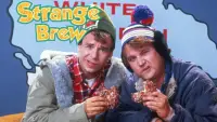 Backdrop to the movie "Strange Brew" #949787