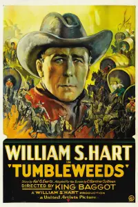 Poster to the movie "Tumbleweeds" #1038385