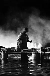 Poster to the movie "Godzilla" #663076