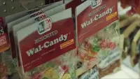Backdrop to the movie "Wal-Bob