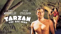 Backdrop to the movie "Tarzan the Ape Man" #958125