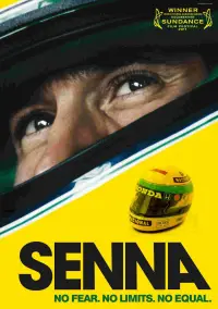 Poster to the movie "Senna" #1027863