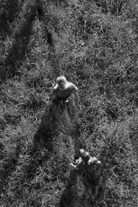 Poster to the movie "Sometime, Somewhere" #550106