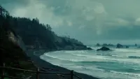 Backdrop to the movie "Twilight" #816323