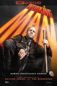 Poster to the movie "Levon