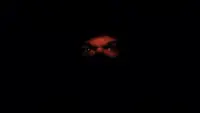 Backdrop to the movie "The Sadist" #727786