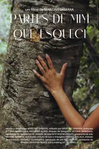 Poster to the movie "Partes de Mim que Esqueci" #1146927